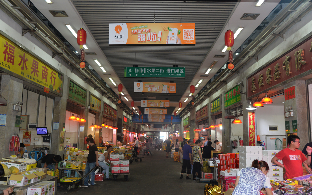 大白菜+app来啦!深圳海吉星首迎农产品大流通生态