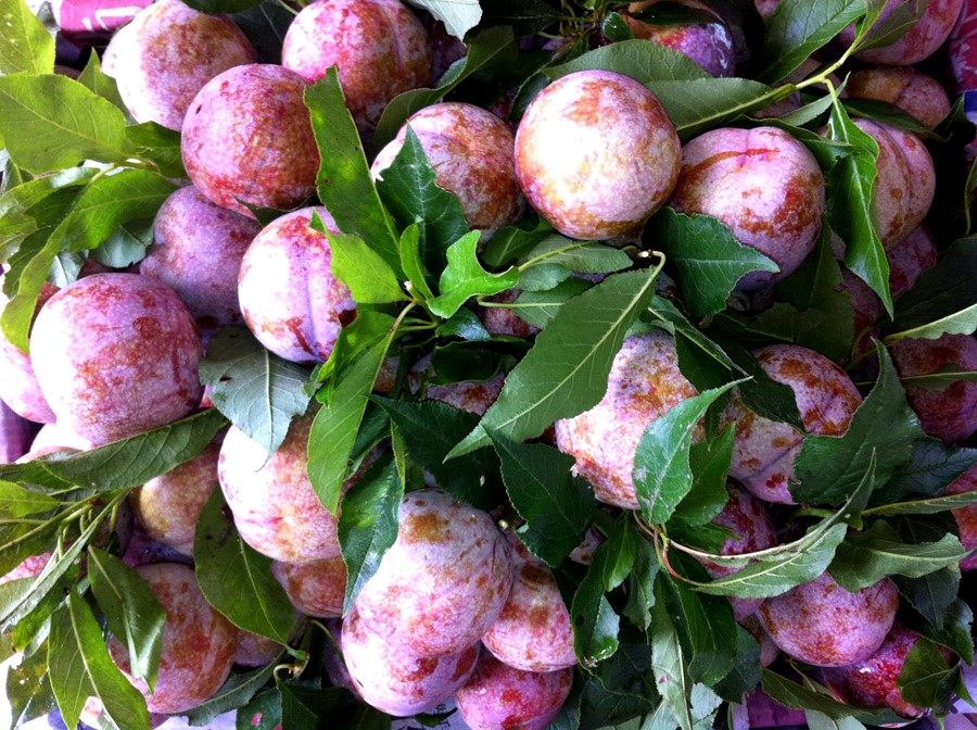 农商新星 ∣ 17年资深批发商自爆双华李批发背后那些事儿